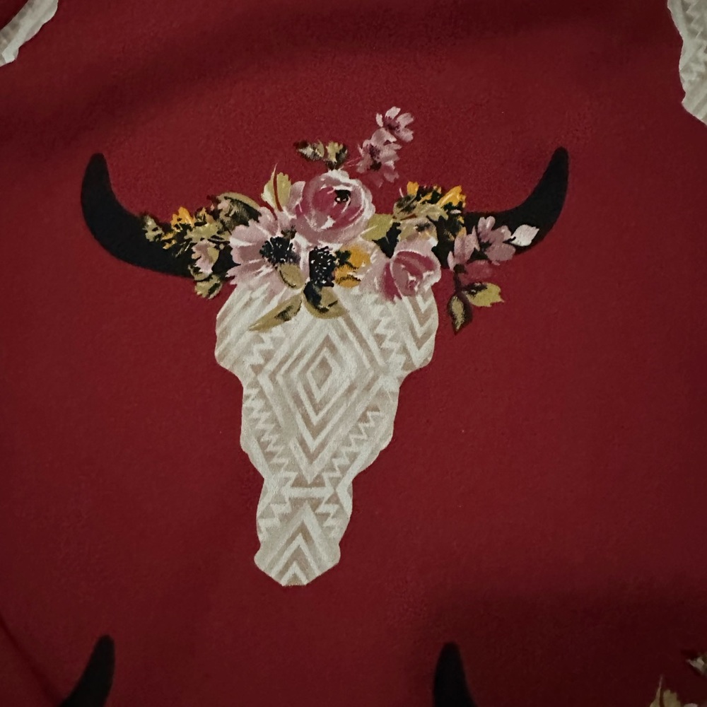 Altar’d State Longhorn Dress - Picture 3 of 5